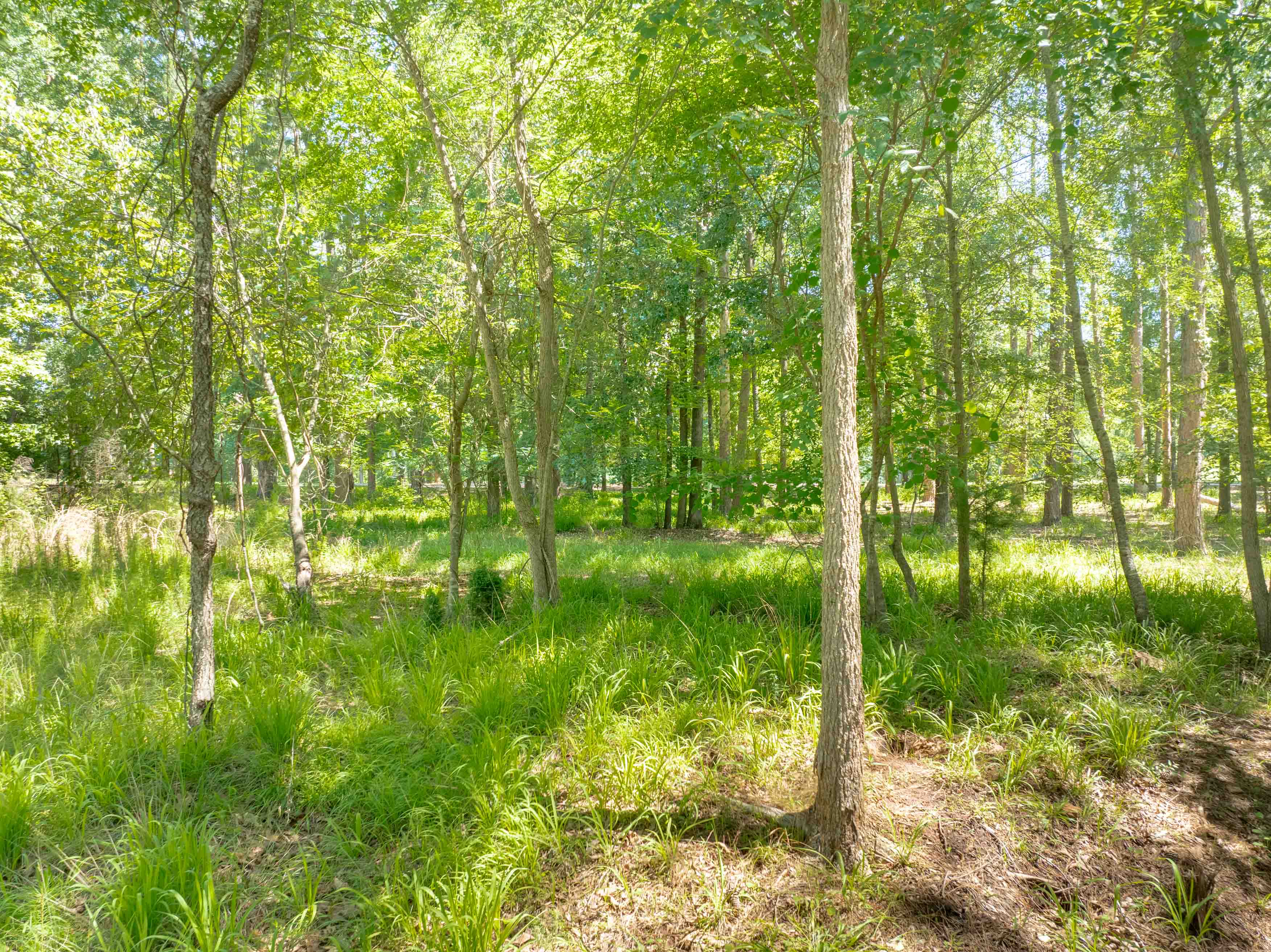 381 Reynolds Drive image 7